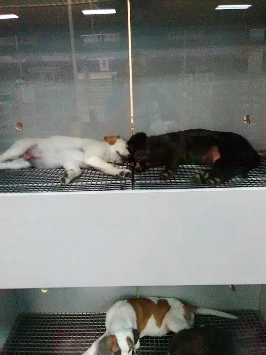 Harbor Pet Center Picture 4