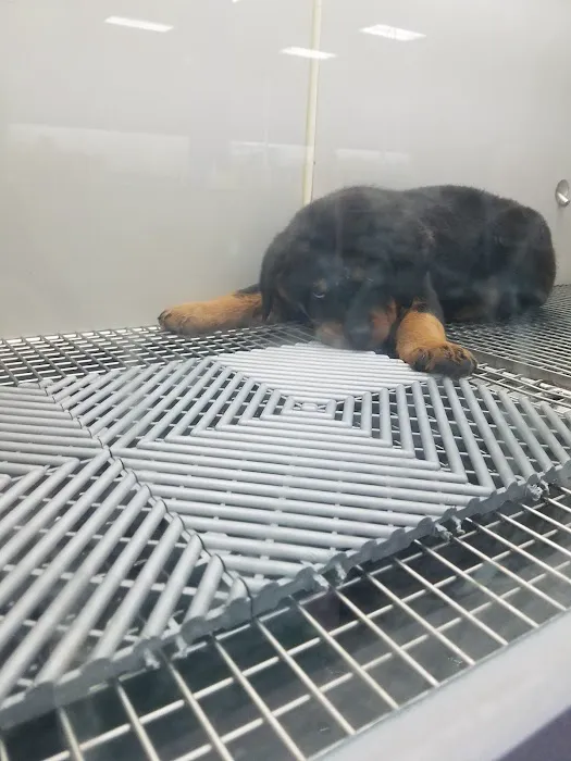 Harbor Pet Center Picture 5