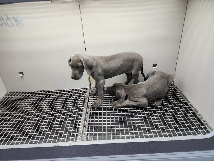 Harbor Pet Center Picture 9