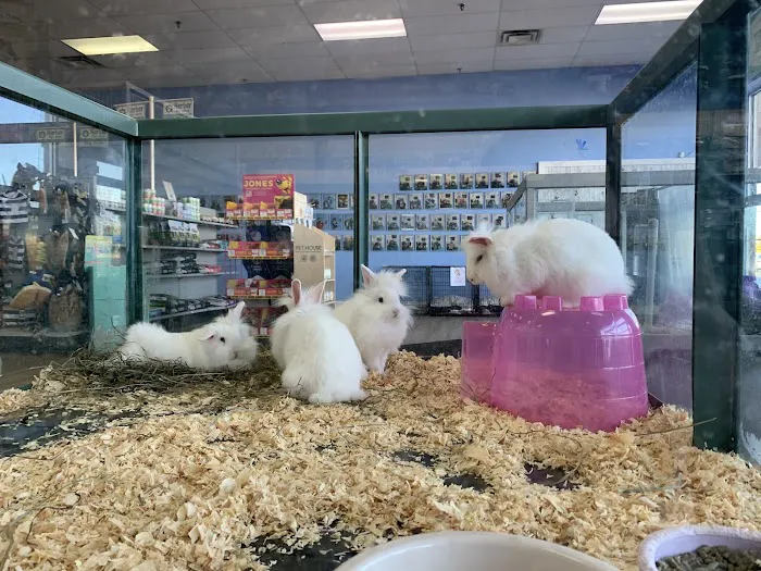 Harbor Pet Center Picture 7