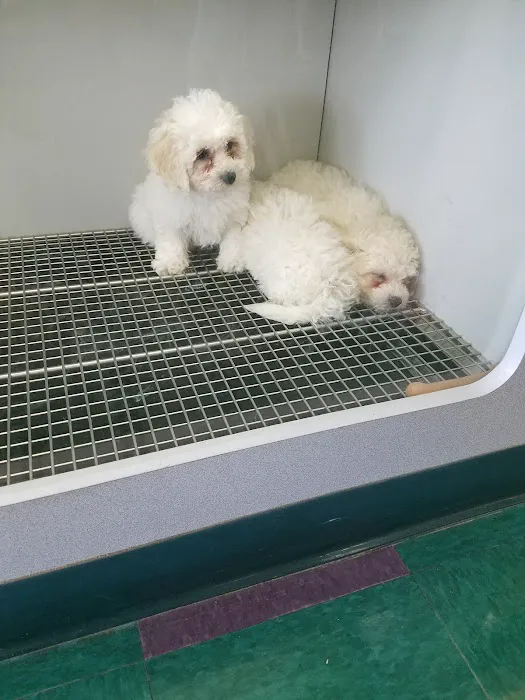 Harbor Pet Center Picture 8