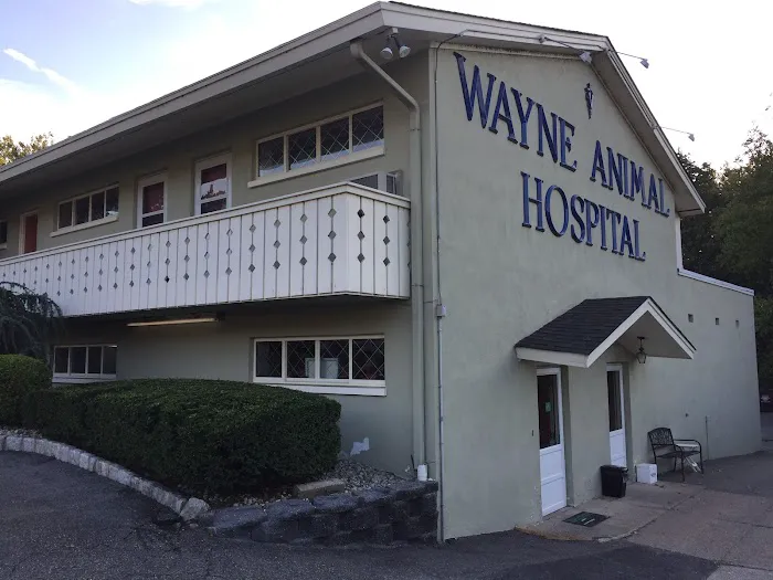 Wayne Animal Hospital Picture 3