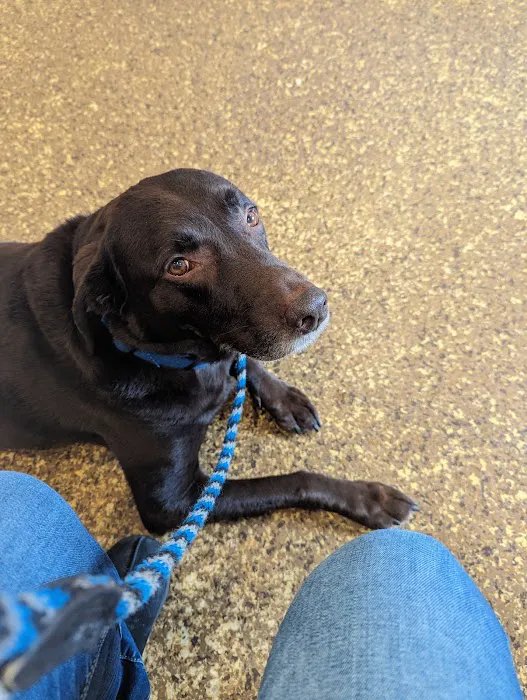 Wayne Animal Hospital Picture 2