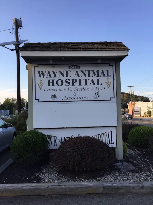 Wayne Animal Hospital Picture 5