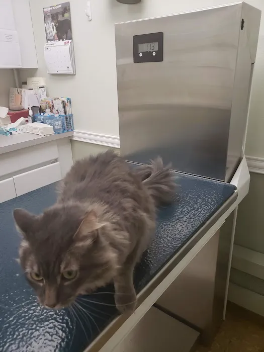 Wayne Animal Hospital Picture 10
