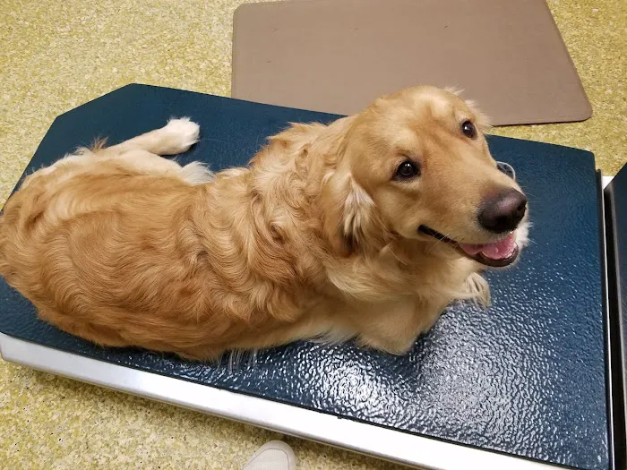 Wayne Animal Hospital Picture 9