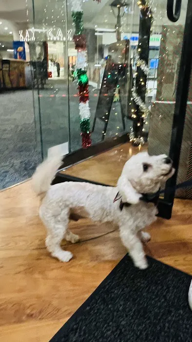 Pups Path Picture 1