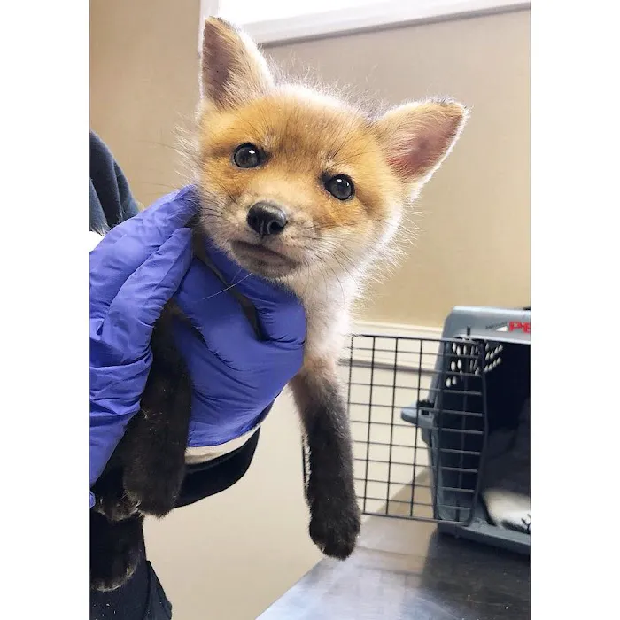 Pompton Lakes Animal Hospital Picture 4