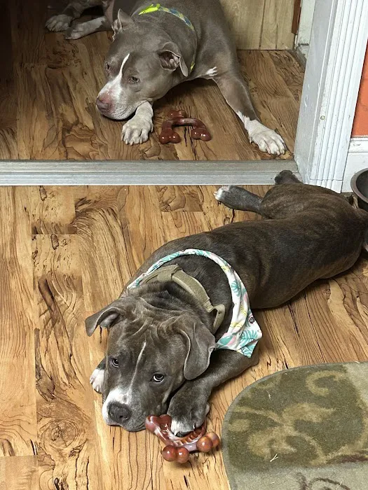 Pompton Lakes Animal Hospital Picture 1