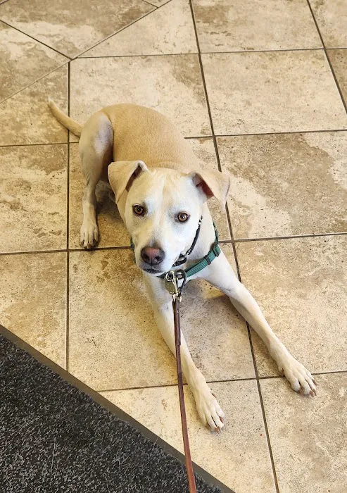 Pompton Lakes Animal Hospital Picture 3