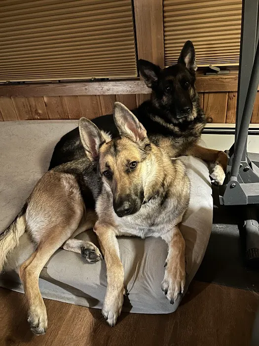 Pompton Lakes Animal Hospital Picture 7