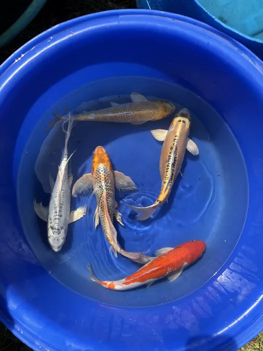 Ohio Aquatic Distributors LLC Picture 6