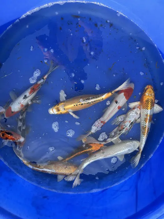 Ohio Aquatic Distributors LLC Picture 3
