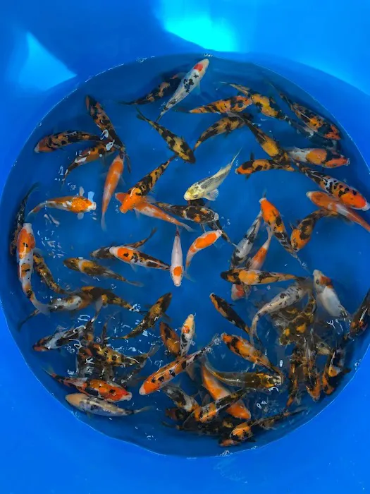 Ohio Aquatic Distributors LLC Picture 1