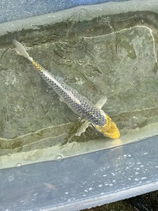 Ohio Aquatic Distributors LLC Picture 10