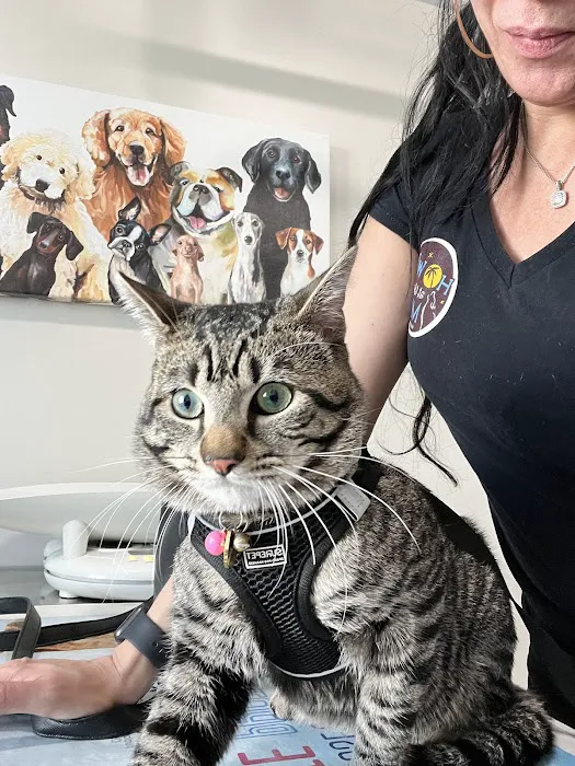 Animal Care Center of North Jersey Picture 1