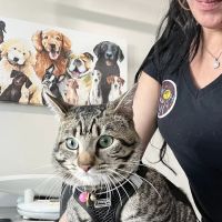 Animal Care Center of North Jersey ico