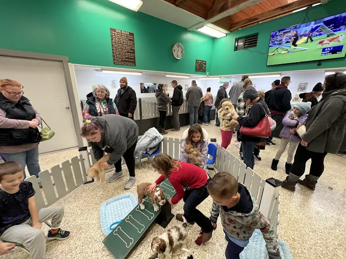 Berlin Pet Shoppe Picture 2