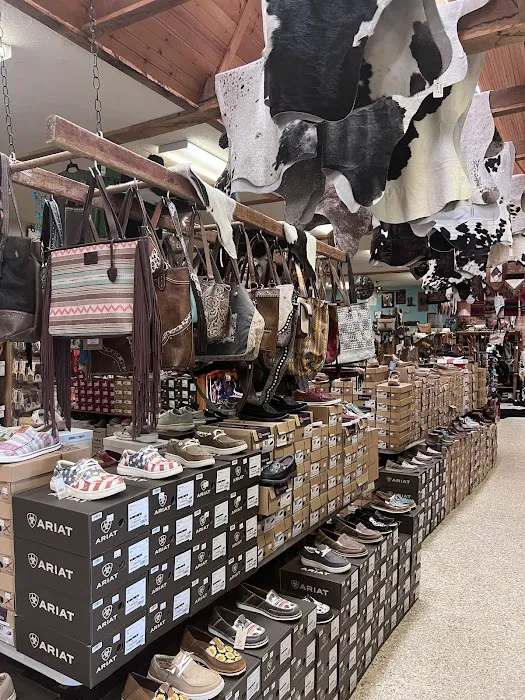 Berlin Pet Shoppe Picture 4