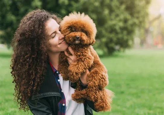 Berlin Pet Shoppe Picture 10