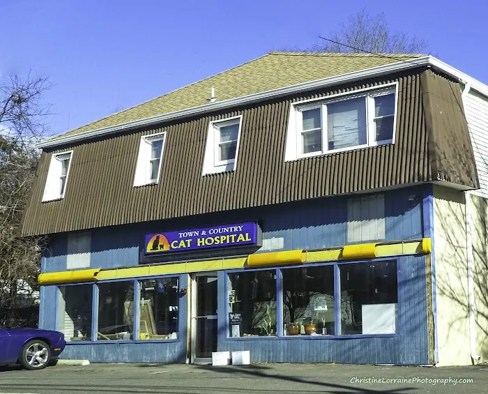 Town & Country Veterinary Cat Hospital Picture 3