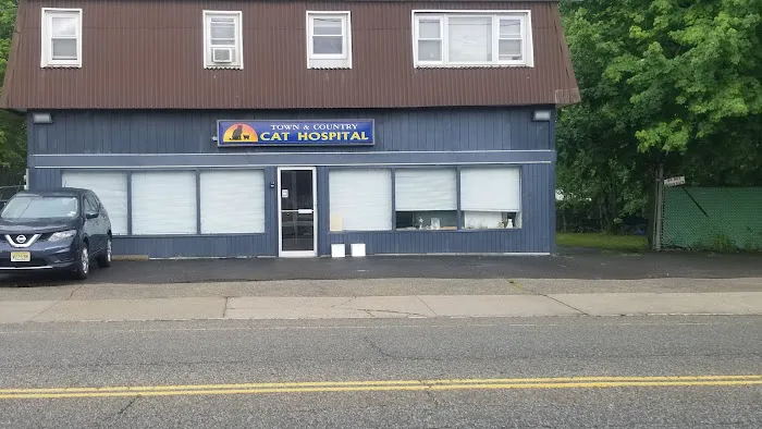 Town & Country Veterinary Cat Hospital Picture 2