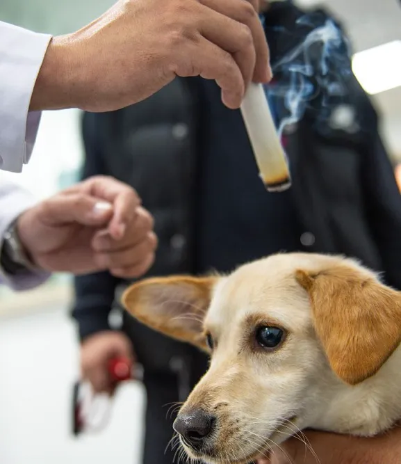 Riverdale Integrative Veterinary Care Picture 1