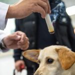 Riverdale Integrative Veterinary Care