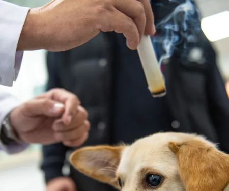 Riverdale Integrative Veterinary Care