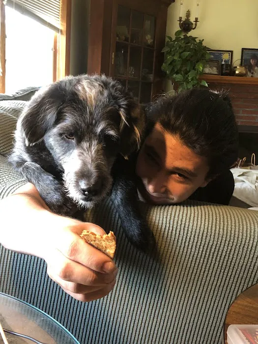 Swiss Village Furry Pals Picture 4