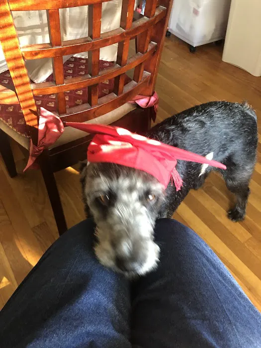 Swiss Village Furry Pals Picture 5