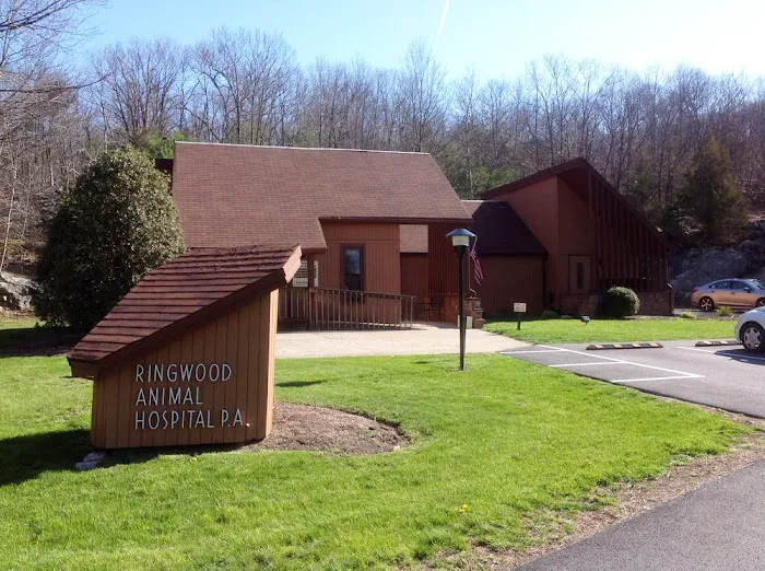Ringwood Animal Hospital Picture 3