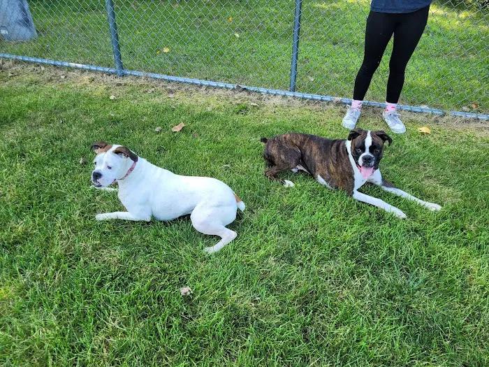 Pequannock Animal Hospital Picture 1