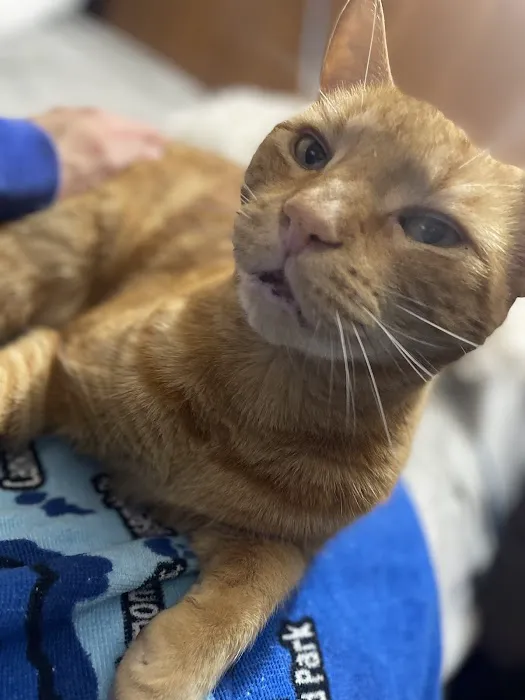 Pequannock Animal Hospital Picture 7