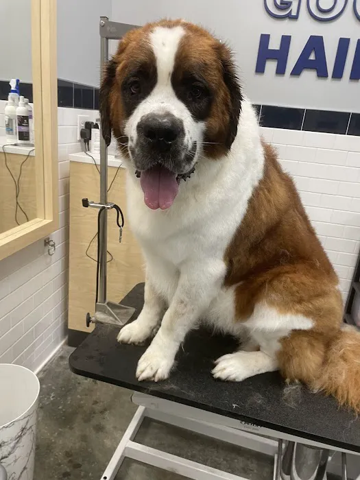 Petco Picture 2