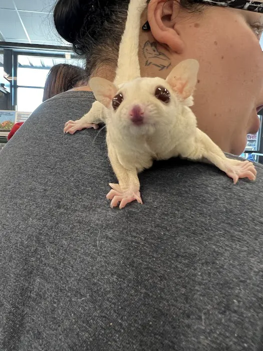 Petco Picture 6