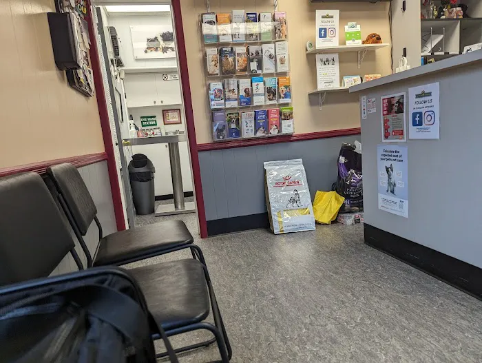 Essex Animal Hospital Picture 10