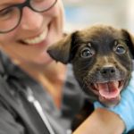 Cameron Animal Hospital