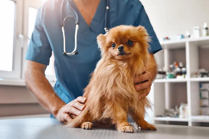 Cameron Animal Hospital Picture 5