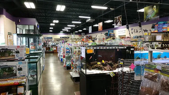 Petz Place Picture 5