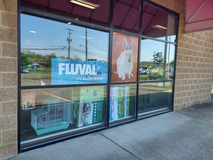 Petz Place Picture 7