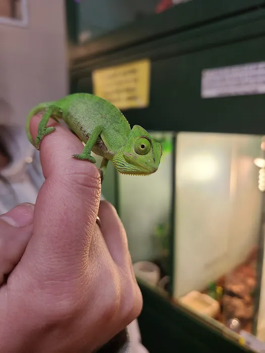 Petz Place Picture 3