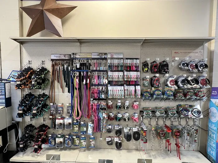 Petz Place Picture 1