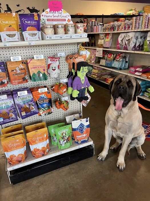 Petz Place Picture 2