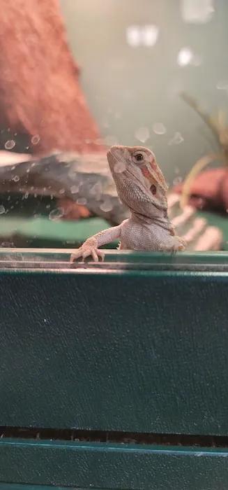 Petz Place Picture 4