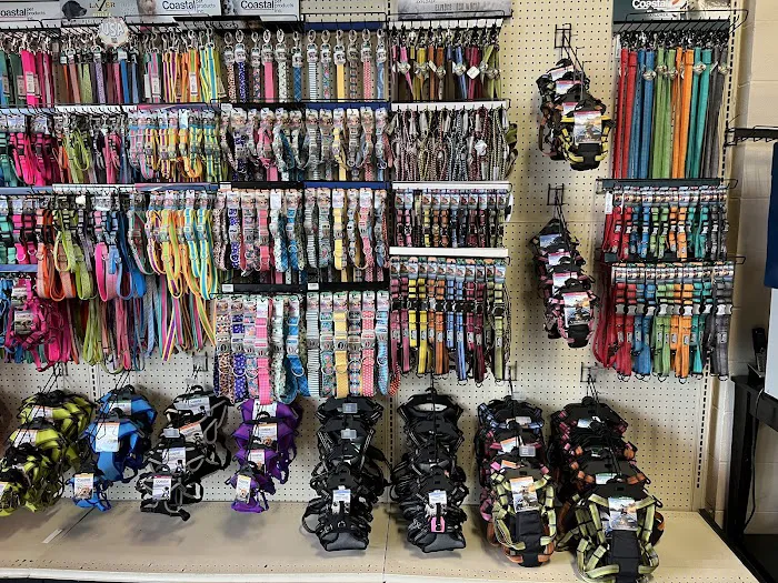 Petz Place Picture 10