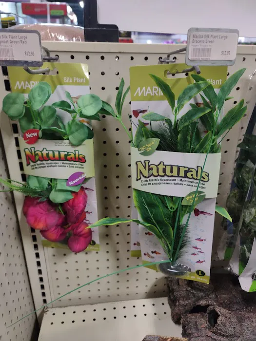 Petz Place Picture 8