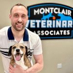 Montclair Veterinary Associates
