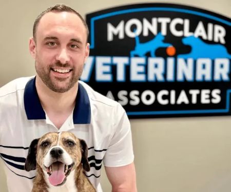 Montclair Veterinary Associates