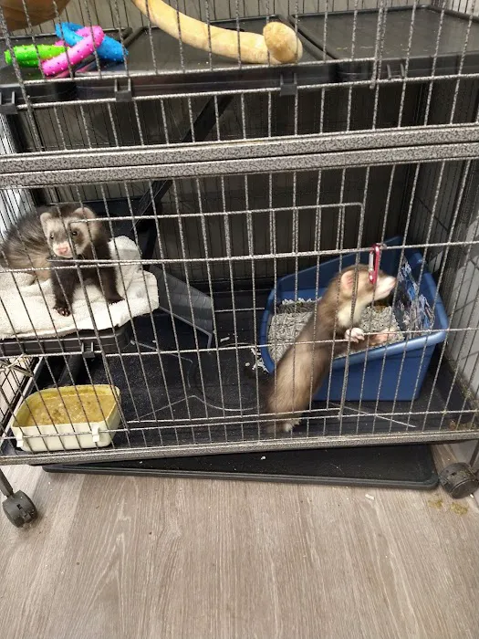 Pet Supplies Plus Chippewa Center Picture 4